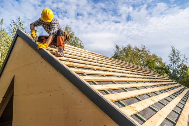 Best Roof Gutter Cleaning  in Garden Plain, KS